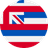 Hawaii flag